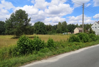 Działka na sprzedaż Brzeg Dolny  823866