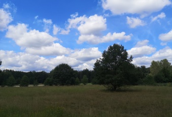 Działka Sprzedam dolnośląskie Brzeg Dolny -1