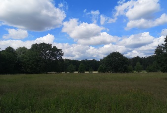 Działka Sprzedam dolnośląskie Brzeg Dolny -3