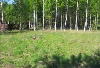 Działka na sprzedaż Reszel  823966