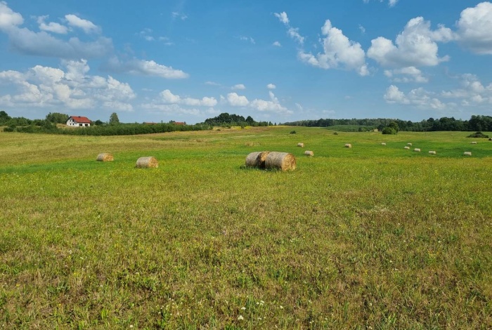 Działka na sprzedaż w Biskupiec  Nasy o powierzchni 3025 mkw