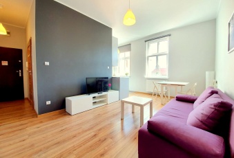 Mieszkanie na wynajem, Poznań wielkopolskie - oferta 824164
