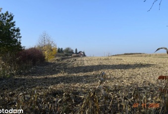 Działka Sprzedam śląskie Gliwice Brzezinka-3