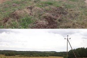 Działka na sprzedaż Drzycim  824183