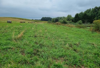 Działka Sprzedam warmińsko-mazurskie Biskupiec -3