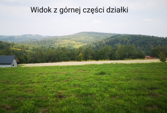 Działka na sprzedaż Budzów  824206