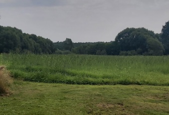 Działka na sprzedaż Grzmiąca  824211