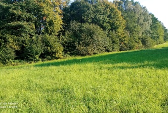 Działka Sprzedam śląskie Bielsko-Biała Średnia Wieś-2