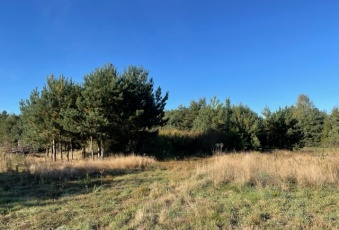 Działka na sprzedaż Tarczyn  824412