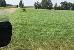 Działka na sprzedaż, Grójec mazowieckie - oferta 824457 Działka na sprzedaż Grójec 824457