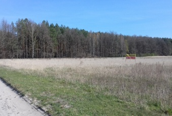 Działka na wynajem, Lipinki Łużyckie lubuskie - oferta 824626 Działka na wynajem Lipinki Łużyckie 824626