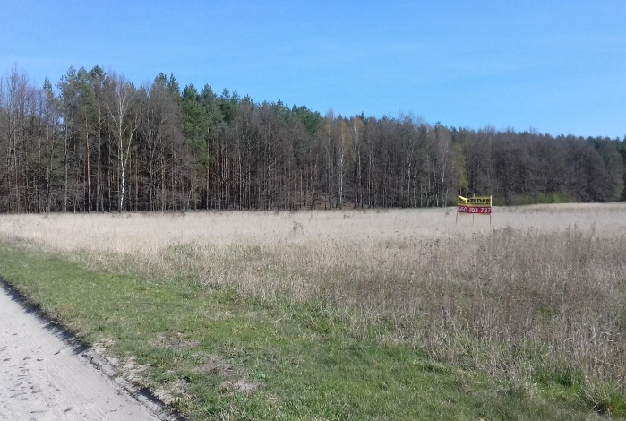 Działka na wynajem w Lipinki Łużyckie Sieciejów  o powierzchni 1000 mkw