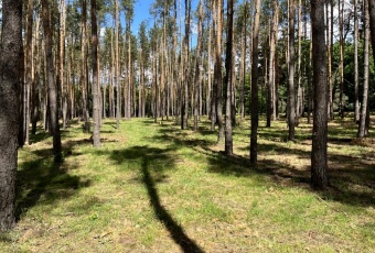 Działka na sprzedaż Warszawa  824659