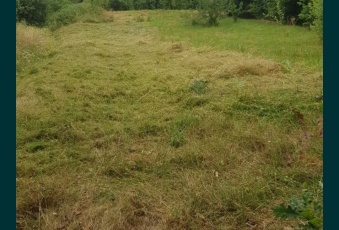 Działka na sprzedaż Złoty Stok  824681