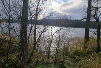 Działka na sprzedaż Olsztynek  824755