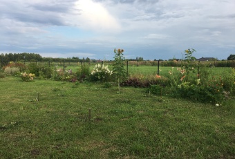 Działka na sprzedaż Lesznowola  824887