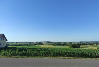 Działka na sprzedaż Gołcza  824875