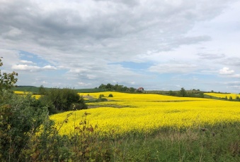 Działka Sprzedam warmińsko-mazurskie Morąg -2