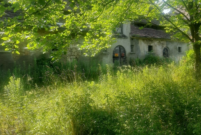 Działka na sprzedaż w Lubań Lubań Nawojów Śląski  o powierzchni 14721 mkw