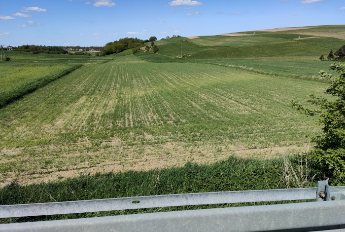 Działka na sprzedaż w Trzyciąż Zadroże  o powierzchni 11100 mkw