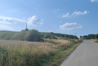 Działka na sprzedaż Pałecznica  825049