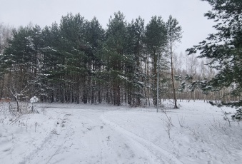 Działka Sprzedam mazowieckie Lesznowola Kolonia Warszawska-2