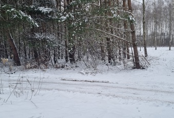 Działka Sprzedam mazowieckie Lesznowola Kolonia Warszawska-1