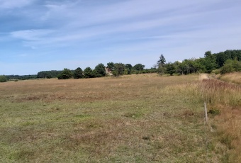 Działka na sprzedaż Wolin  825363