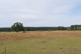 Działka Sprzedam zachodniopomorskie Wolin -1