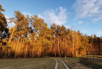 Działka Sprzedam mazowieckie Nowe Miasto Miszewo Wielkie-3