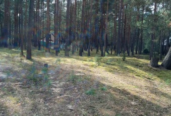 Działka Sprzedam mazowieckie Somianka Popowo-Letnisko-1