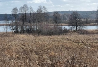 Działka Sprzedam warmińsko-mazurskie Węgorzewo -3