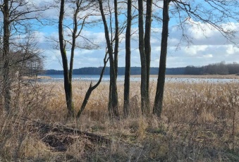 Działka na sprzedaż Węgorzewo  825430