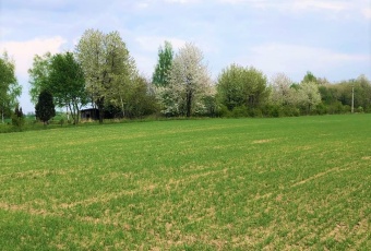 Działka na sprzedaż Wolbrom  825454