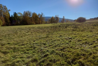 Działka Sprzedam dolnośląskie Leśna -2