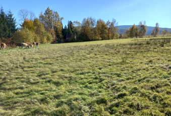 Działka na sprzedaż Leśna  825463