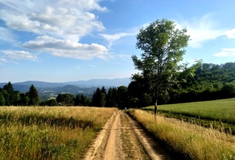Działka na sprzedaż Janowice Wielkie  825642