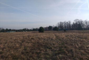 Działka na sprzedaż, Trzebnica dolnośląskie - oferta 825689 Działka na sprzedaż Trzebnica 825689