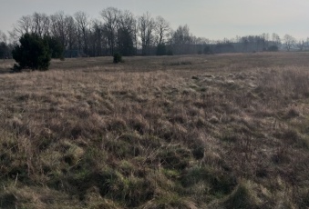 Działka Sprzedam dolnośląskie Trzebnica -2