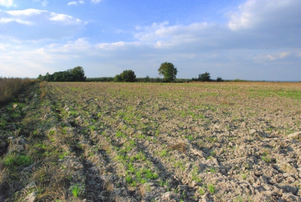 Działka na sprzedaż w Środa Śląska   o powierzchni 22060 mkw