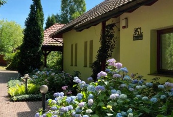 Dom na wynajem, Katowice śląskie - oferta 825813
