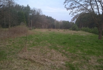 Działka na sprzedaż Ciechanowiec  825819