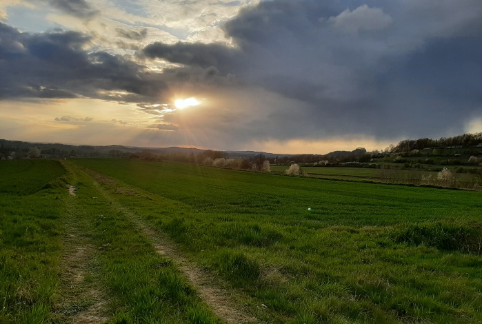 Działka na sprzedaż w Złotoryja  Wilków o powierzchni 1600 mkw