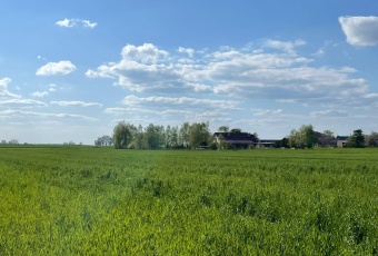 Działka Sprzedam wielkopolskie Włoszakowice Bukówiec Górny-1