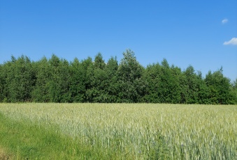 Działka Sprzedam mazowieckie Mszczonów -1