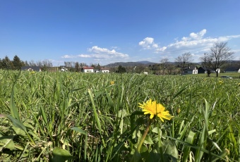 Działka na sprzedaż Goleszów  824673