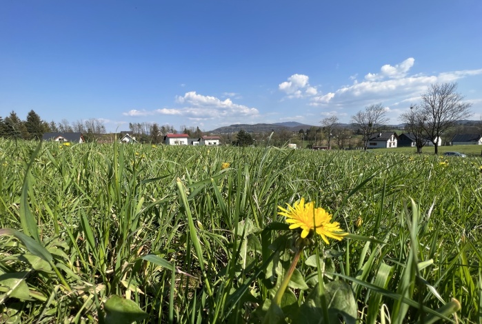 Działka na sprzedaż w Goleszów Bażanowice Cieszyńska o powierzchni 1211 mkw