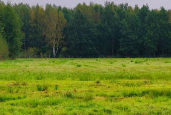 Działka na sprzedaż Kotuń  826339