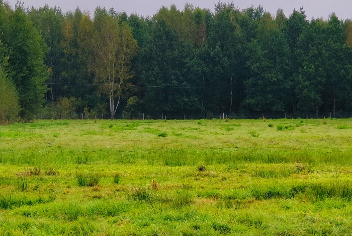 Działka na sprzedaż w Kotuń Sosnowe  o powierzchni 5140 mkw