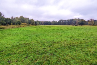 Działka Sprzedam mazowieckie Kotuń Sosnowe-3